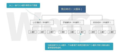 信息技術賦能情感咨詢，構建高效專業服務體系